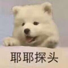 4)[CQ:at,qq=all] 日常艾特呀出来看个0点车再睡嗷上翻到23.30左右看看啦~记得先领券0点价格才对呀