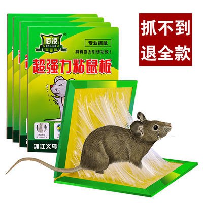 买就送饵料 老鼠贴强力粘鼠板 老鼠夹子捕鼠器家用粘鼠贴捕鼠神器，0.9元