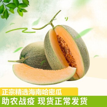 正宗海南哈密瓜 2个装 2个加起来净重约3斤