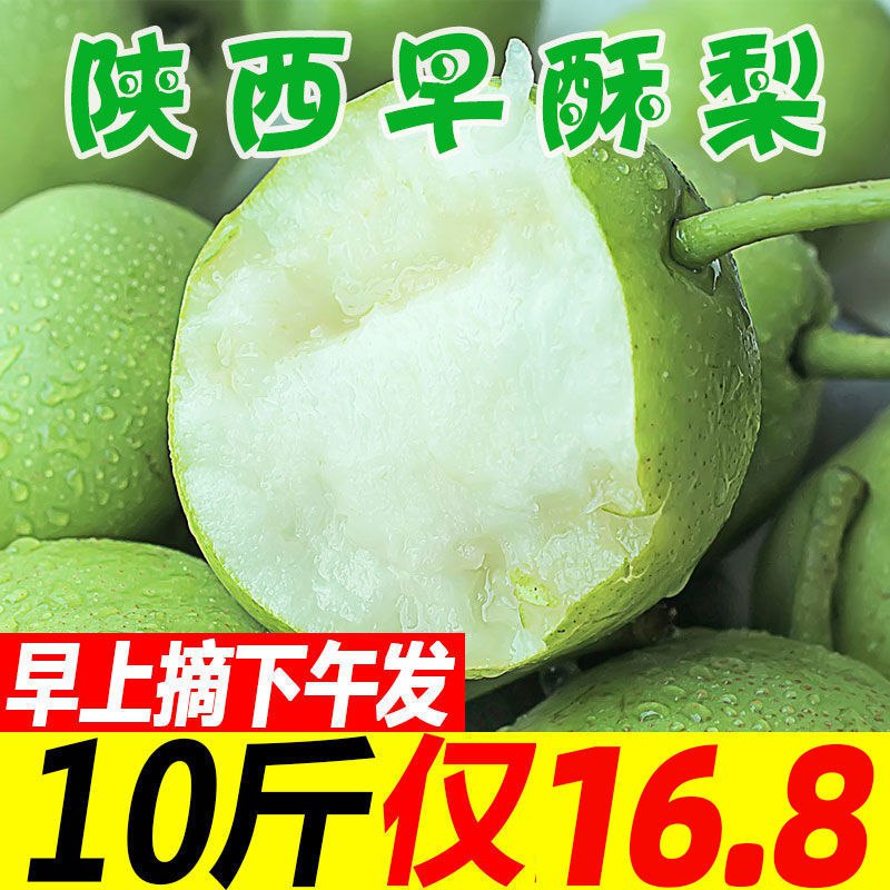 超低价【包脆甜】现摘陕西早酥梨应季整箱批发3/5/10斤装新鲜水果6.38元