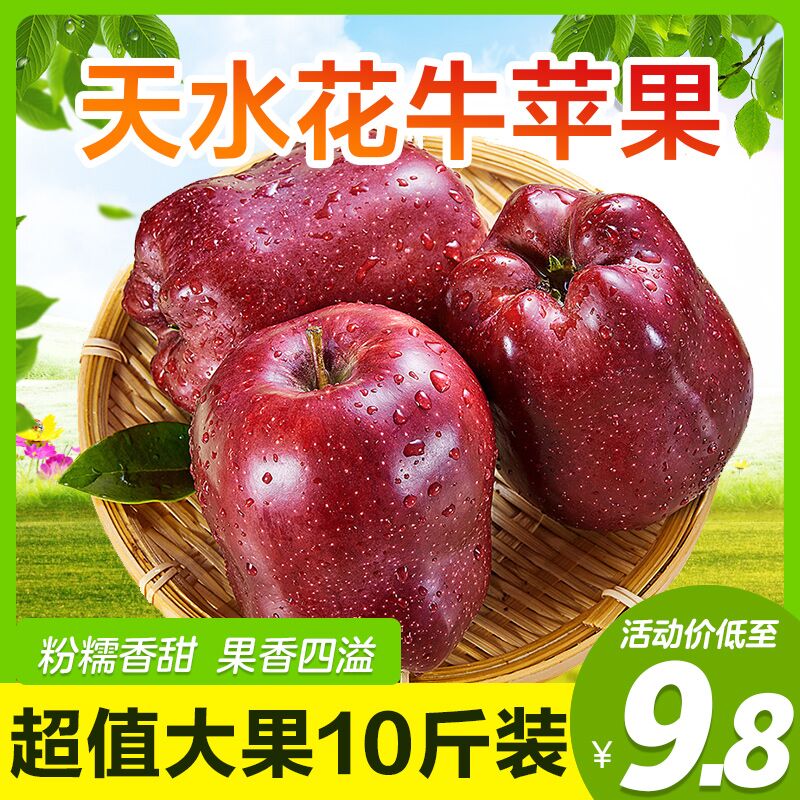 10点开始 拍下8.8元甘肃天水花牛香甜苹果3斤(LaK6XsN2BMz)/
