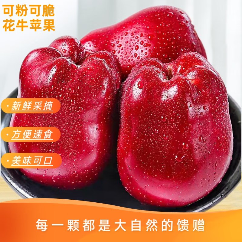 天水花牛苹果 甘肃天水苹果净重4.5斤