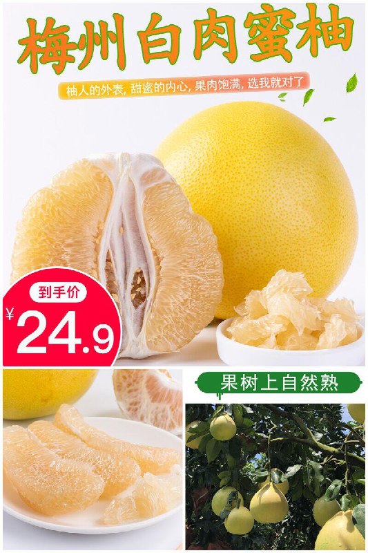 【柚友】梅州蜜柚金柚白肉柚子5斤原价【29.9元】券后【24.9元】包邮