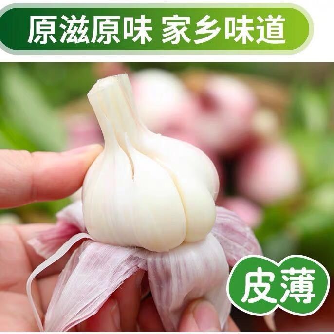 【鲜小贱】现挖新鲜紫皮大蒜5斤原价19.9元，券后9.9元包邮 