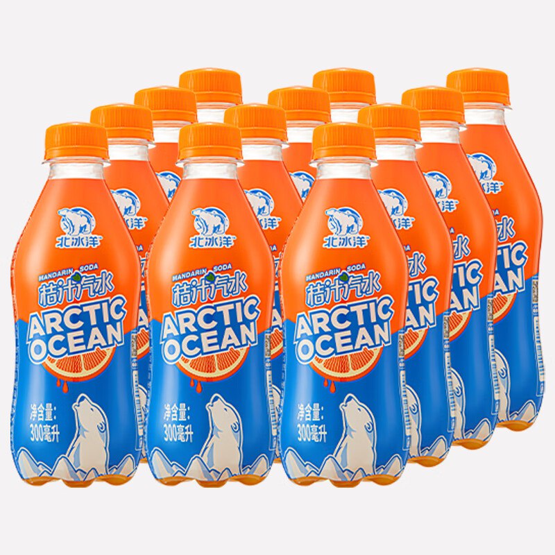 北冰洋 桔汁汽水 300ml*12瓶