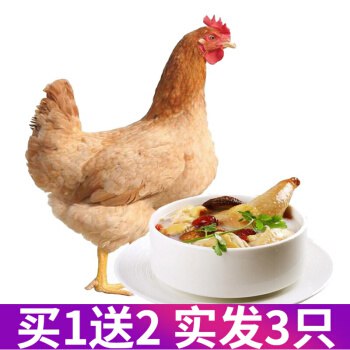 农家散养，味道鲜美，买1送2，实际到手3只！