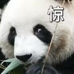 @全体成员  日常艾特呀出来看个0点车再睡嗷上翻到23.10左右看看啦~记得先领券0点价格才对呀