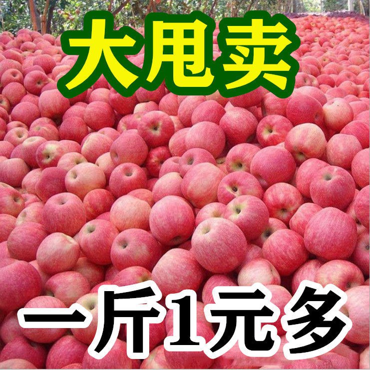 【超低价】陕西红富士苹果水果新鲜脆甜冰糖心10斤5斤3斤整箱批发