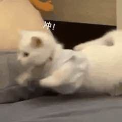 [CQ:at,qq=all] 日常艾特今晚零点车更新的差不多了，爬楼到23点10分左右看看好价记得先领券，0点后下单价格才对