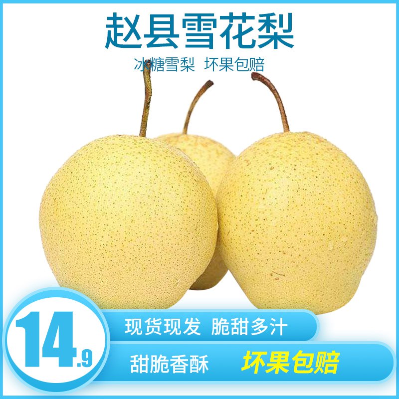 雪花梨新鲜梨子带箱5斤  