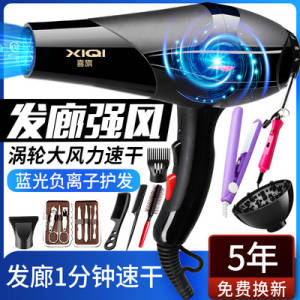 0点开始 16.9💵 喜旗电器旗舰店负离子护发大功率电吹风机)0qtzdsavx8A)/ CZ11//
