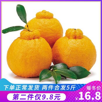 今日敲黑板，爆款必抢 【不知火丑橘大果2.5斤】 14.8  