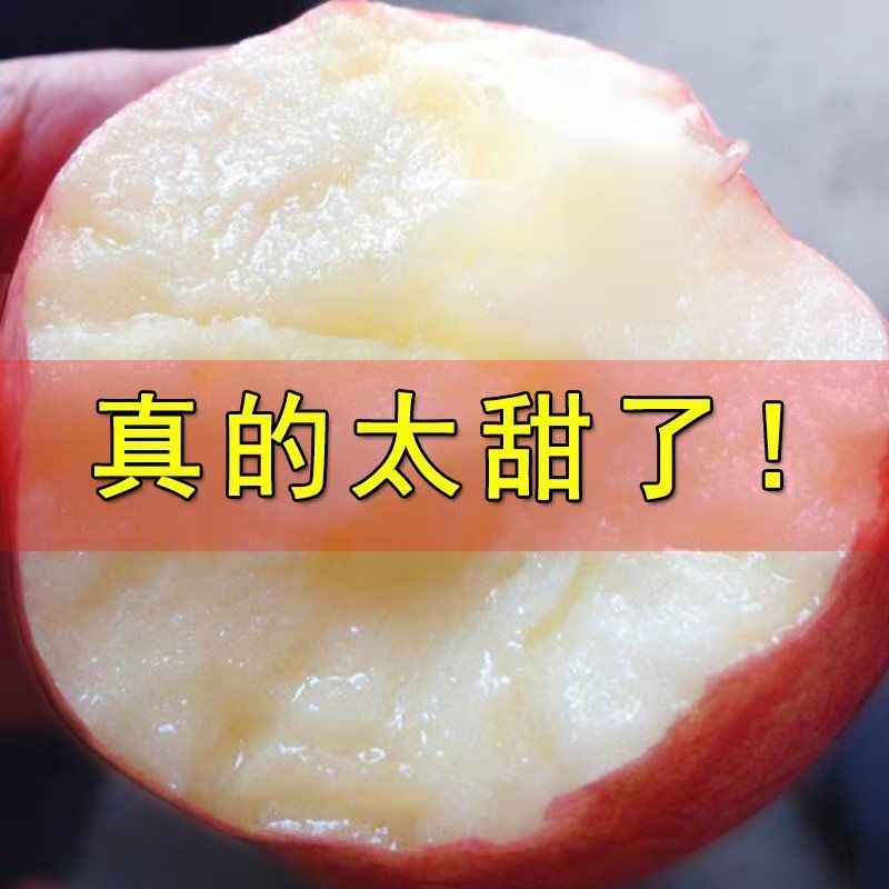 【冰糖心】新果红富士苹果当季新鲜孕妇水果超甜正宗10斤整箱批发