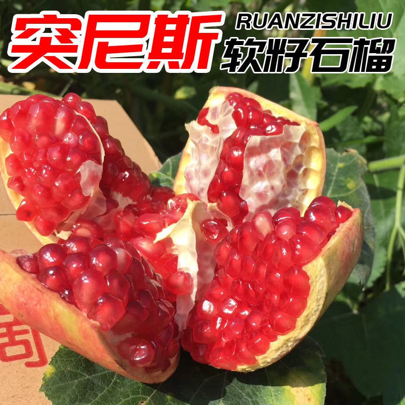 四川会理石榴 突尼斯软籽石榴水果新鲜无籽石榴 青皮甜石榴潘石榴