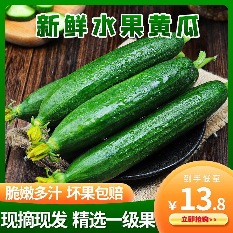 1.领券 加购物车1件2.领商品下200-20食品券寿光蔬菜现摘水果黄瓜3斤(om7cXgKkMVF)/  ---每天都要领3️⃣次！记得哦👉