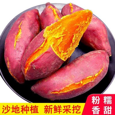 红薯新鲜板栗红薯蜜薯糖心小香薯黄红心地瓜沙地现挖番薯2斤5斤13.77元
