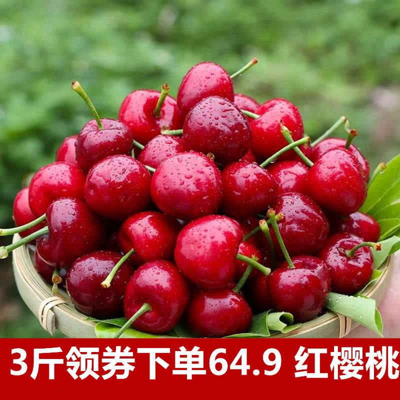 预售樱桃大果，5.20前发货-3斤49，可叠全品-5 
