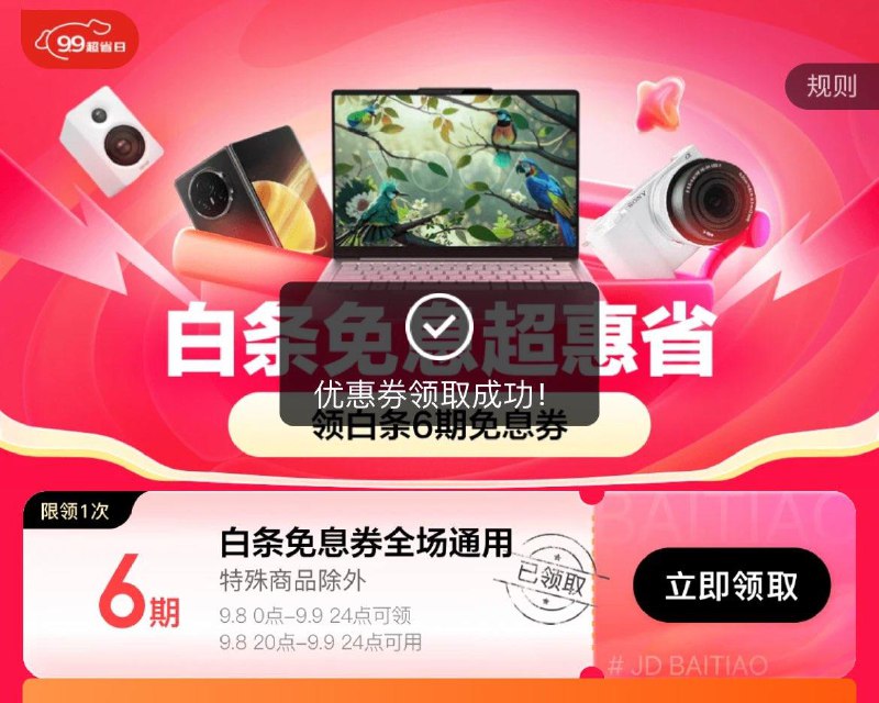 白条6期免息券