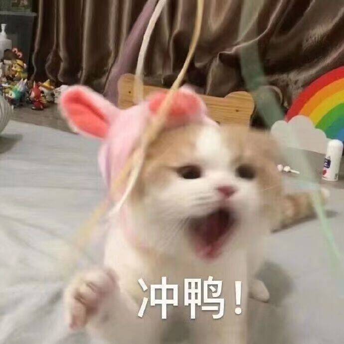 来个秋冬服饰系列好价✅羽绒服，外套，卫衣都有全都是线下拿不下的价格有需要的来看看👏窾很多省的钱能承包秋天的奶茶