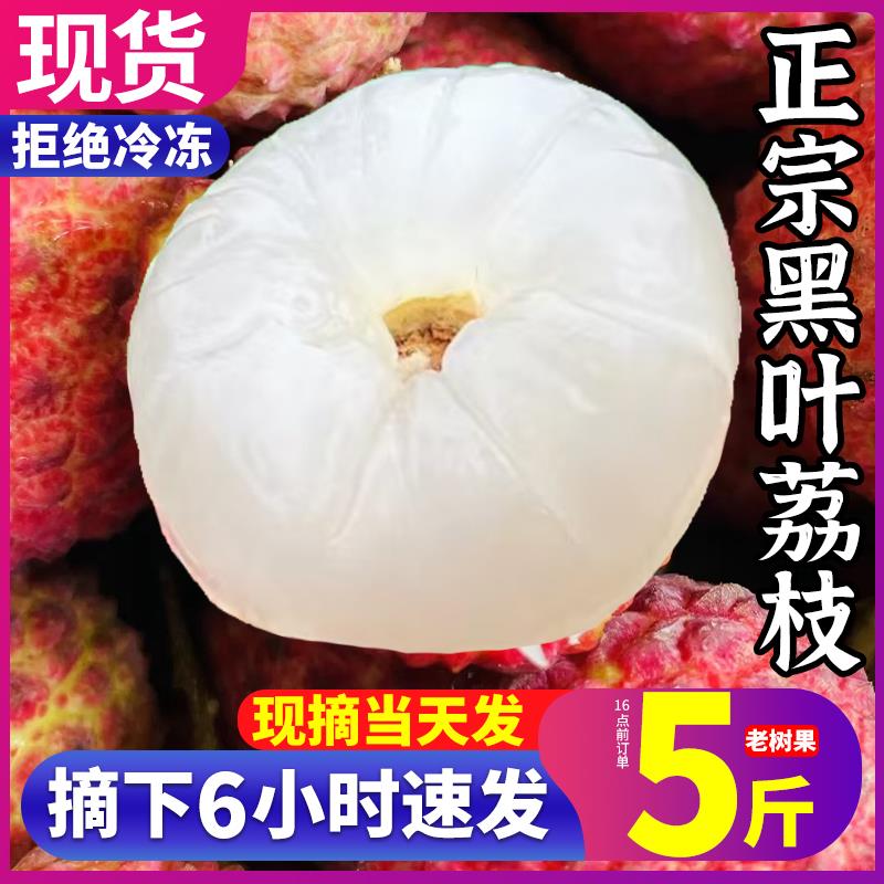 树上熟黑叶荔枝4.5斤福建产地/ CZ5158 9/XmQGVzSMgQi//://详情页进入淘宝眇殺18.57亓