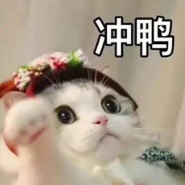 依视路大品牌 品质放心！眼镜店随便大几千 贼贵~刚需的宝子，直接冲这窽|依视路原厂加工，全年质保可配0-650度 下单后找客服还可升级x4膜致材质1.60镜片