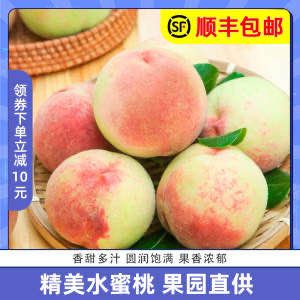 29.8￥庆新庄园旗舰店山西运城水蜜桃5斤(ncRd2Mxg0wH)/