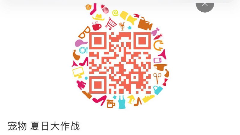 5亓宠物金