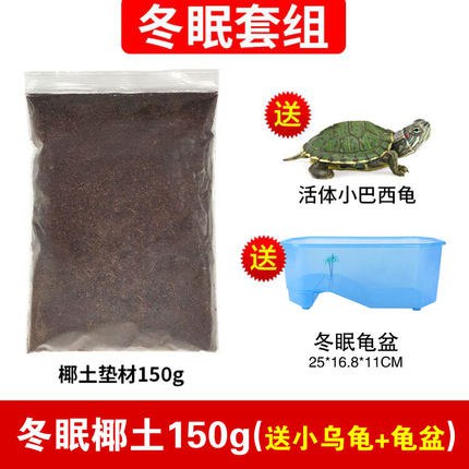 椰土150g+活体小乌龟+龟盆   5.8  (4dwgcVtvM60)
